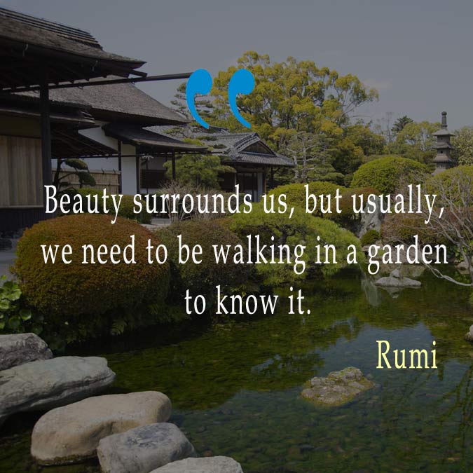 Rumi Travel Quotes Beauty