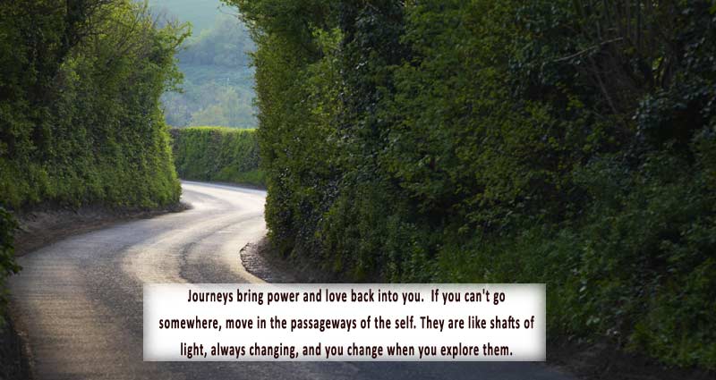 Rumi Travel Quotes Journey